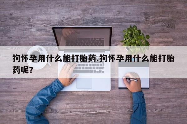 流产药叫什么名字微信怎么购买狗怀孕用什么能打胎药.狗怀孕用什么能打胎药呢？