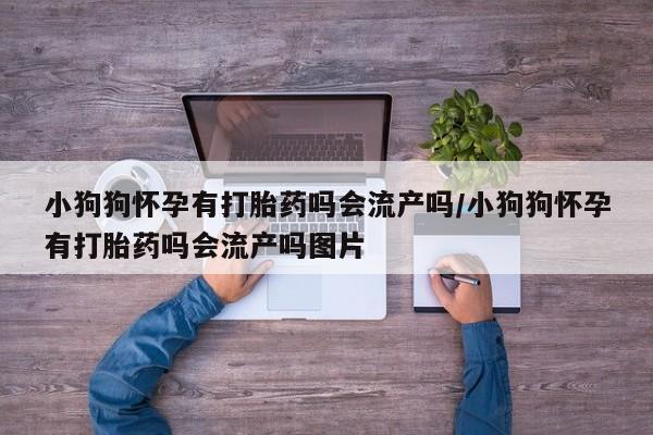 流产药叫什么名字微信怎么购买小狗狗怀孕有打胎药吗会流产吗/小狗狗怀孕有打胎药吗会流产吗图片